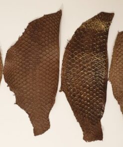 Fiskskinn, Tilapia